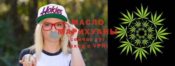 мдпв Богородск