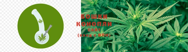 mix Белокуриха