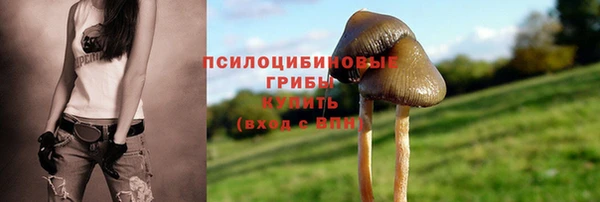 наркотики Богородицк