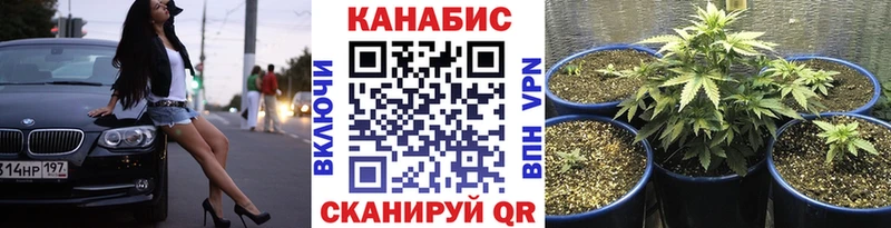 OMG как войти  Верея  Конопля планчик 